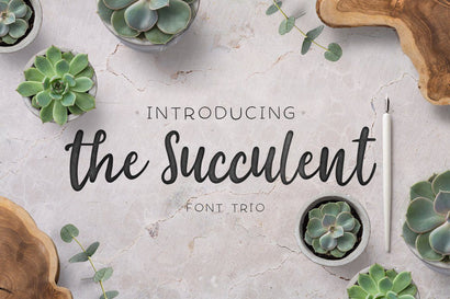 The succulent - font trio! Font Andreadop Designs 