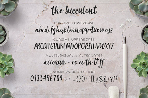 The succulent - font trio! Font Andreadop Designs 