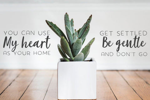 succulent font The succulent - font trio!