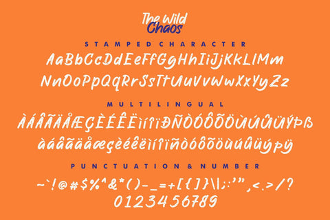 The Wild Chaos | Family Font Allouse.Studio 