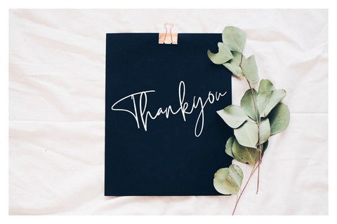 Themysion Signature Handwriting Font Creatype Studio 