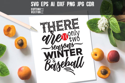There are only two seasons Winter and Baseball SVG SVG VectorSVGdesign 