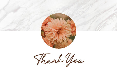 Thermosd Handwritten Signature Font Creatype Studio 