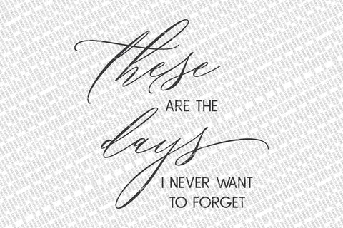 These Are The Days I Never Want To Forget SVG | Farmhouse Sign | DXF and More! SVG Diva Watts Designs 