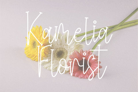 Thin Story Font Forberas 