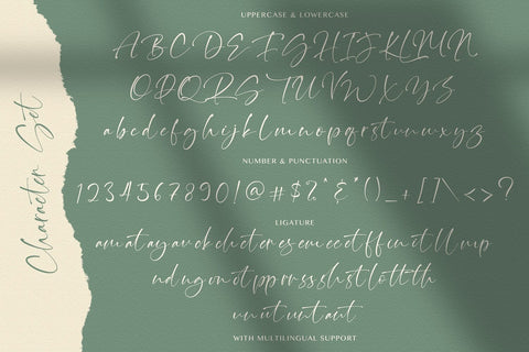 Thinker Script - Signature Font Font StringLabs 
