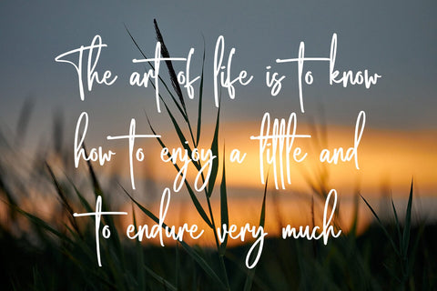 This Brother Font Abo Daniel Studio 