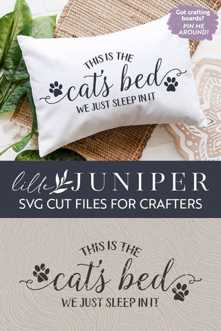 This is the Cat's Bed | Funny Cat SVG SVG LilleJuniper 