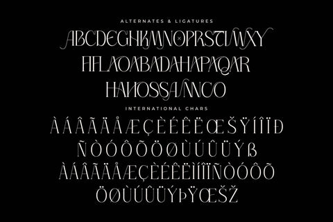 Thorco Typeface Font Storytype Studio 