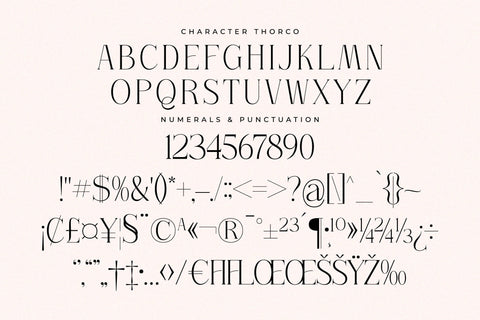 Thorco Typeface Font Storytype Studio 