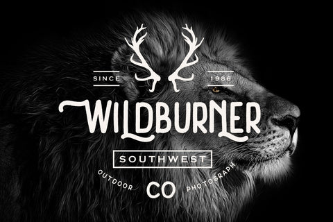 Thrello Monoline Brush Font Creatype Studio 