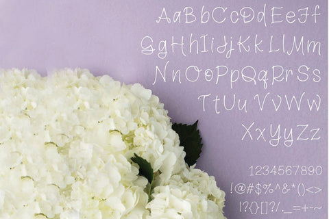 Tidewater Handlettered Font | 439 Characters! | Multi Lingual Support and Greek / Coptic Alphabet Font Maple & Olive Designs 