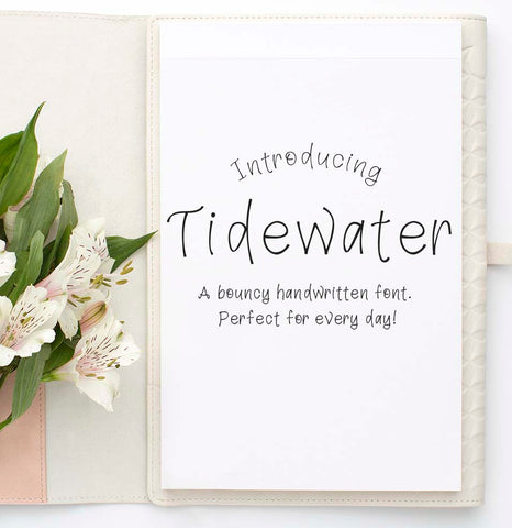 Tidewater Handlettered Font | 439 Characters! | Multi Lingual Support and Greek / Coptic Alphabet Font Maple & Olive Designs 