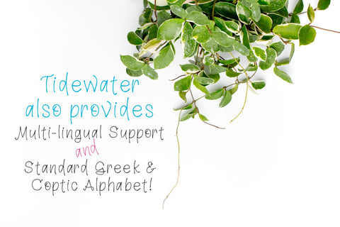Tidewater Handlettered Font | 439 Characters! | Multi Lingual Support and Greek / Coptic Alphabet Font Maple & Olive Designs 