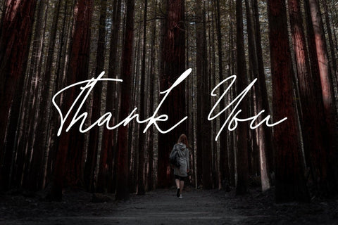 Tiffanyed Signature Collection Font Creatype Studio 