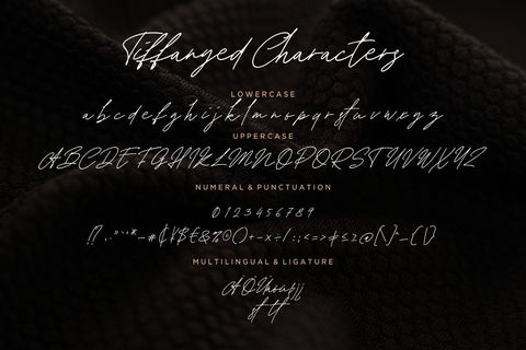Tiffanyed Signature Collection Font Creatype Studio 