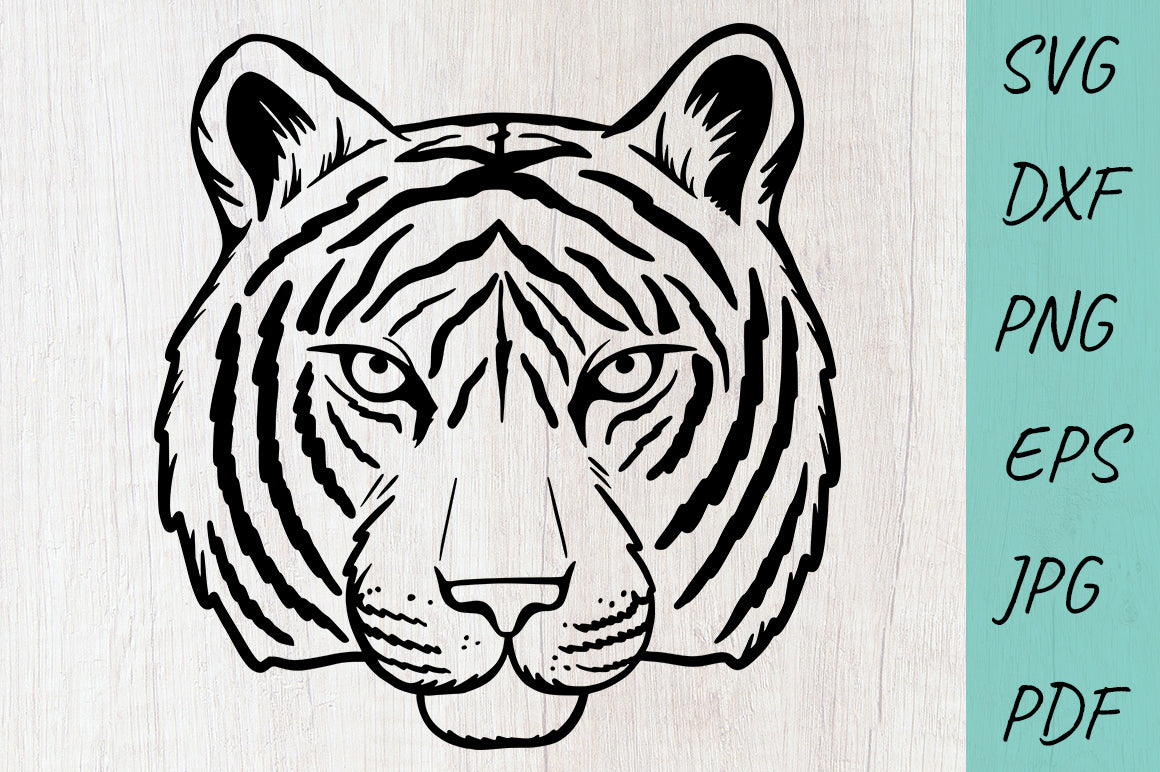 Baby Tiger svg, PNG EPS dxf SVG ai