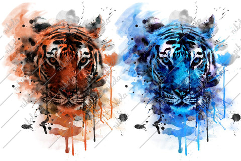 Tiger Watercolor Sublimation Clipart PNG JPG Sublimation nikola 