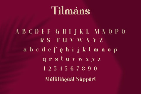 Tilmáns Font Fallen Graphic Studio 