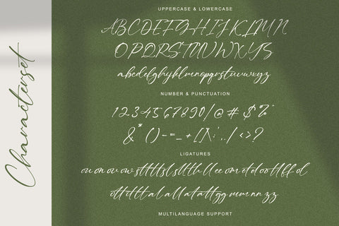 Tindak Pundi - Signature Script Font Font StringLabs 
