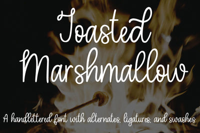 Toasted Marshmallow - A handlettered script font Font Stacy's Digital Designs 