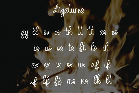 Toasted Marshmallow - A handlettered script font Font Stacy's Digital Designs 