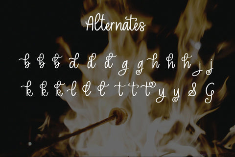 Toasted Marshmallow - A handlettered script font Font Stacy's Digital Designs 