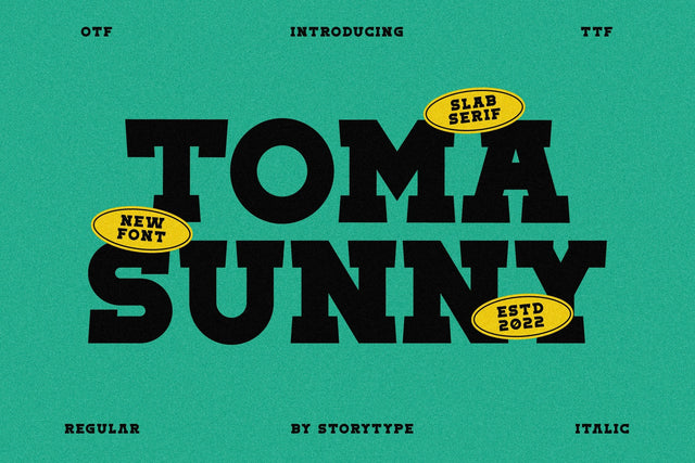 Toma Sunny Typeface Font Storytype Studio 