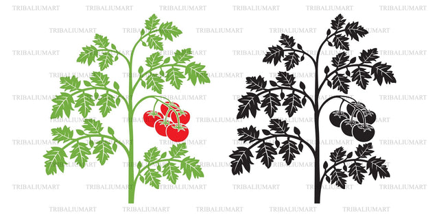Tomato plant SVG TribaliumArtSF 