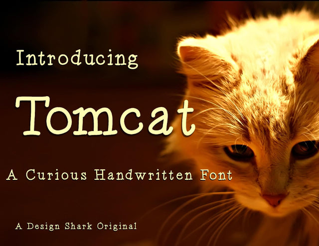 Tomcat Font Design Shark