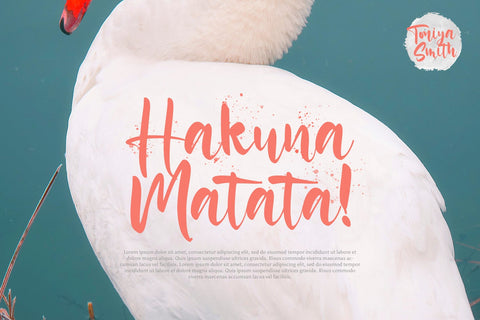 Toniya Smith - Handwritten Font Font StringLabs 