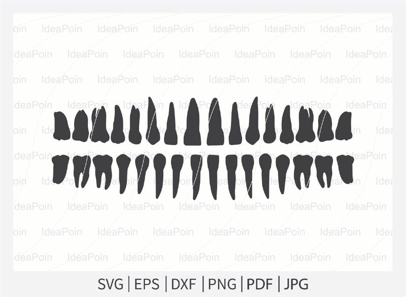Tooth svg, Dental svg, Tooth Monogram Svg Bundle, Tooth heartbeat ...