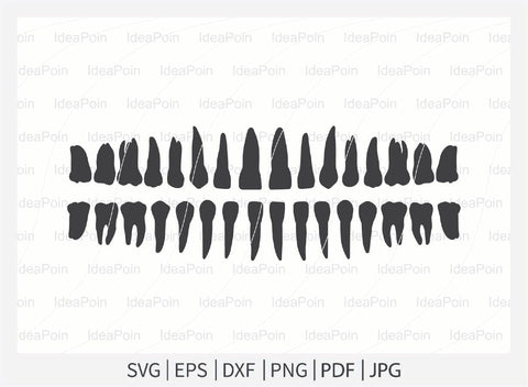 Tooth svg, Dental svg, Tooth Monogram Svg Bundle, Tooth heartbeat, Dental Split Monogram, Tooth Split Name Frame, Dental Monogram svg SVG Dinvect 
