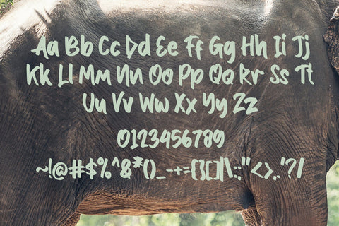 Toothless Font letterstockstd 