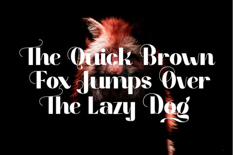 Top 12 Fonts for Stunning Professional Designs (FONT BUNDLE) Font letterbeary 