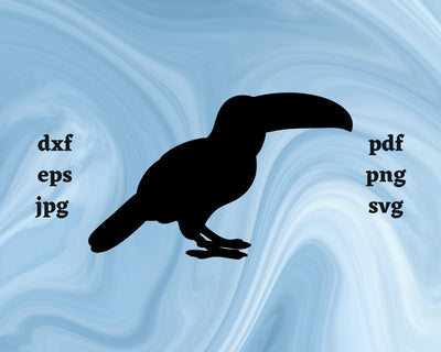 Toucan SVG Cut File SVG Northern Light SVG 