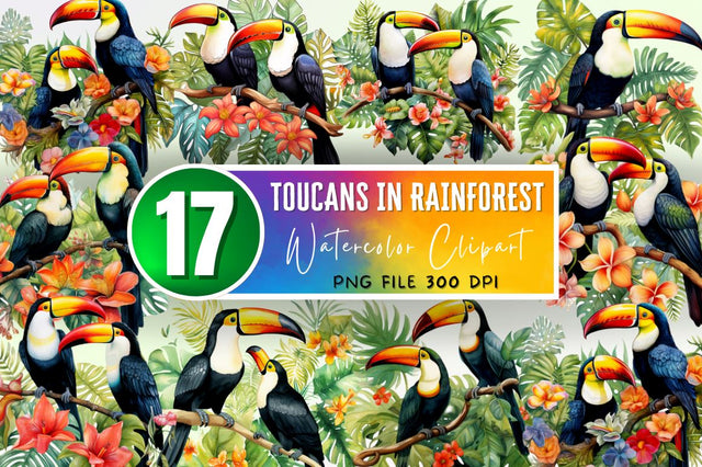 Toucans in Rainforest Sublimation Clipart Bundle Sublimation Regulrcrative 