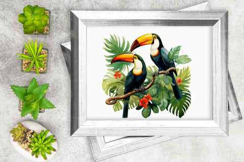 Toucans in Rainforest Sublimation Clipart Bundle Sublimation Regulrcrative 