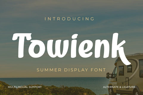 Towienk Font Font twinletter 