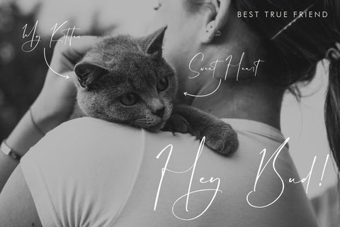 Transilvant Geraldis - Stylish Signature Font Font Storytype Studio 