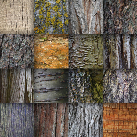 Tree Bark Textures Digital Paper Sublimation Old Market 