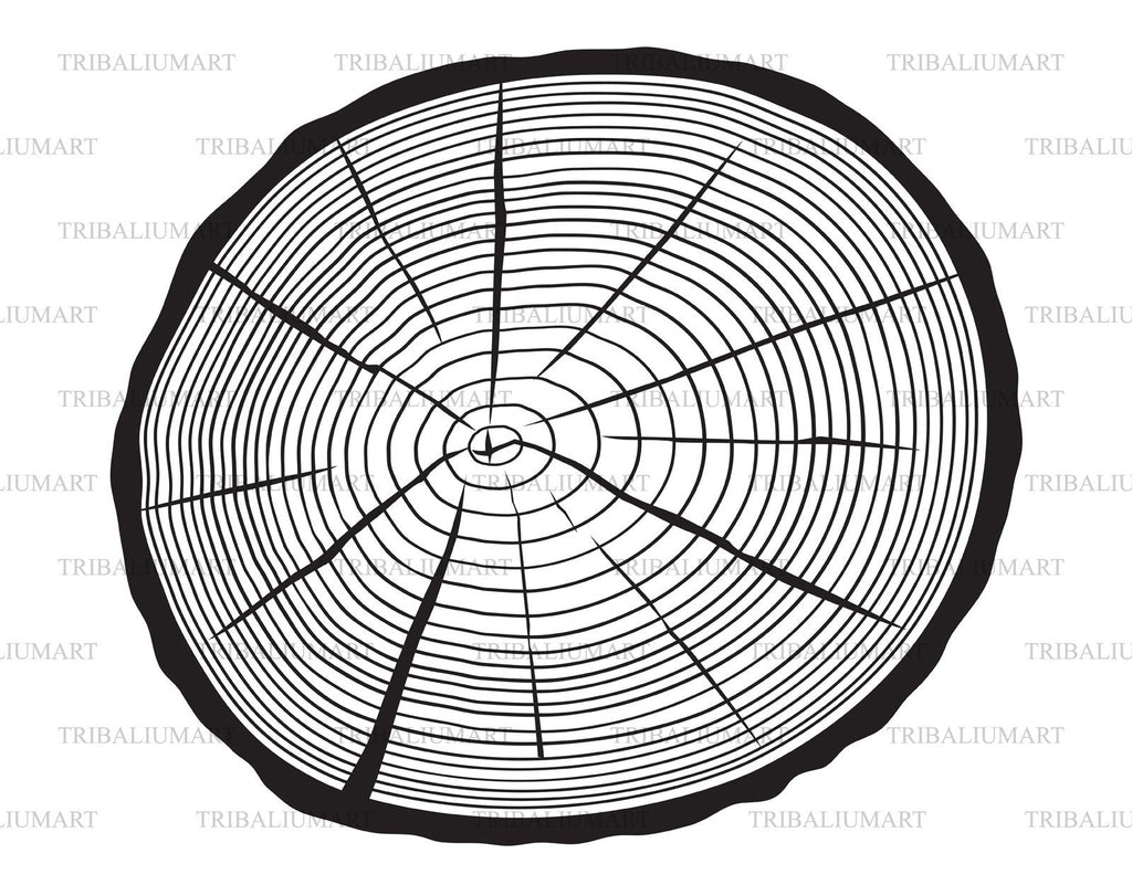 Tree rings. Cut files for Cricut, Clip Art silhouettes (eps, svg, pdf ...