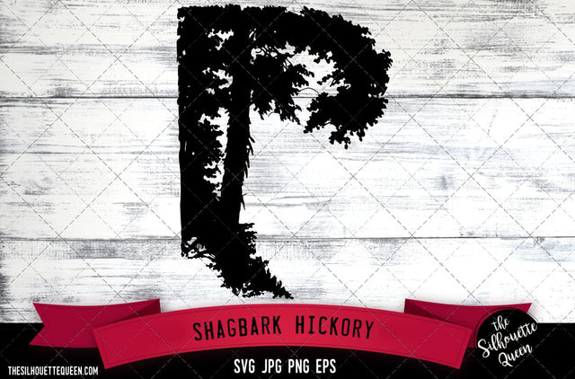 Tree trunk in foreground Shagbark Hickory SVG -Vector Art Commercial & Personal Use- Cricut,Silhouette,Cameo,Vinyl Cut SVG Loveleen Kaur 