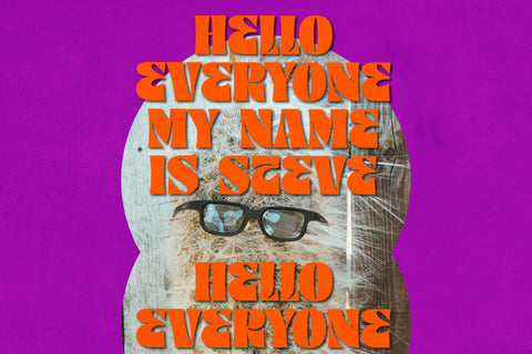 TRELINK Typeface Font Storytype Studio 