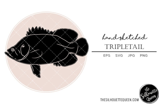 Tripletail Hand sketched, hand drawn vector clipart SVG Loveleen Kaur 