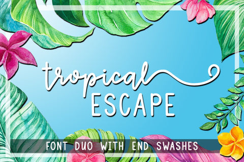 Tropical Escape - Font Duo with End Swashes Font Laura Swanson Design 