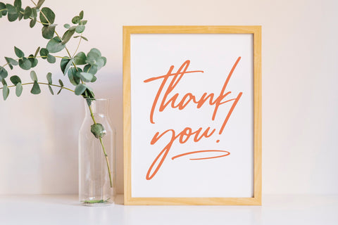 Tropical Harmony Modern Calligraphy Font Font Balpirick 