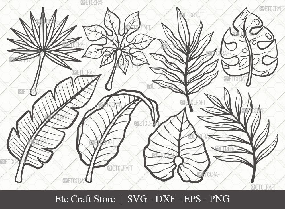 An Illustration Of Two Large Palm Leaves Drawn Outline Sketch Drawing  Vector, Tropical Leaves Drawing, Tropical Leaves Outline, Tropical Leaves  Sketch PNG and Vector with Transparent Background for Free Download