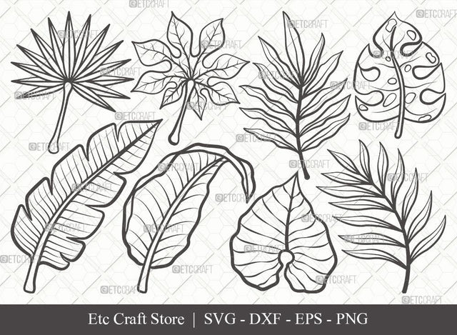 Tropical Leaf Outline SVG Cut Files | Tropical Leaves Svg | Monstera Leaf Svg | Palm Leaf Vector Cutting files | Eps | Dxf | Png | SVG ETC Craft 