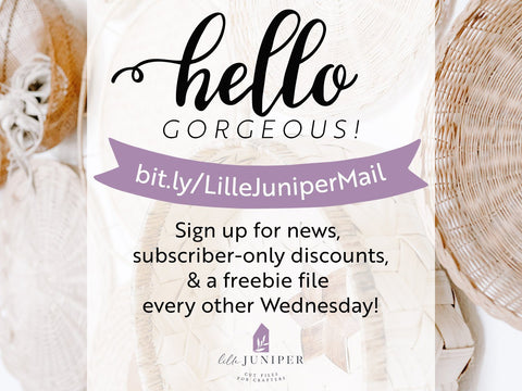 Tropical Leaf SVG | Botanical SVG | Farmhouse Sign Design SVG LilleJuniper 